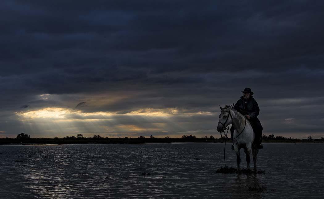 In the Carmauge of southern France, one of the 'gardians' of the wild hose herds after the storm.