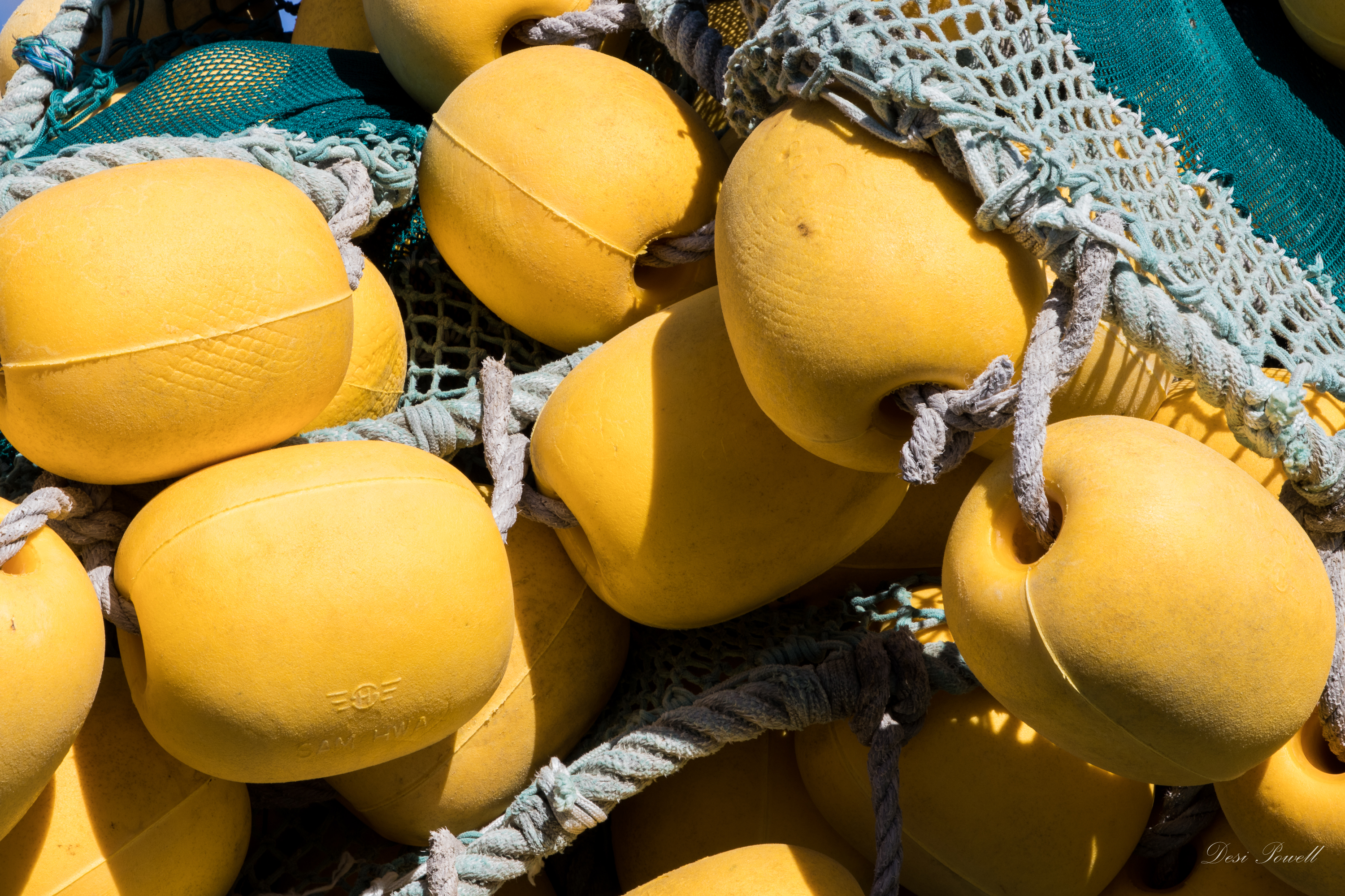 Fishing Nets at Laaiplek, South Africa