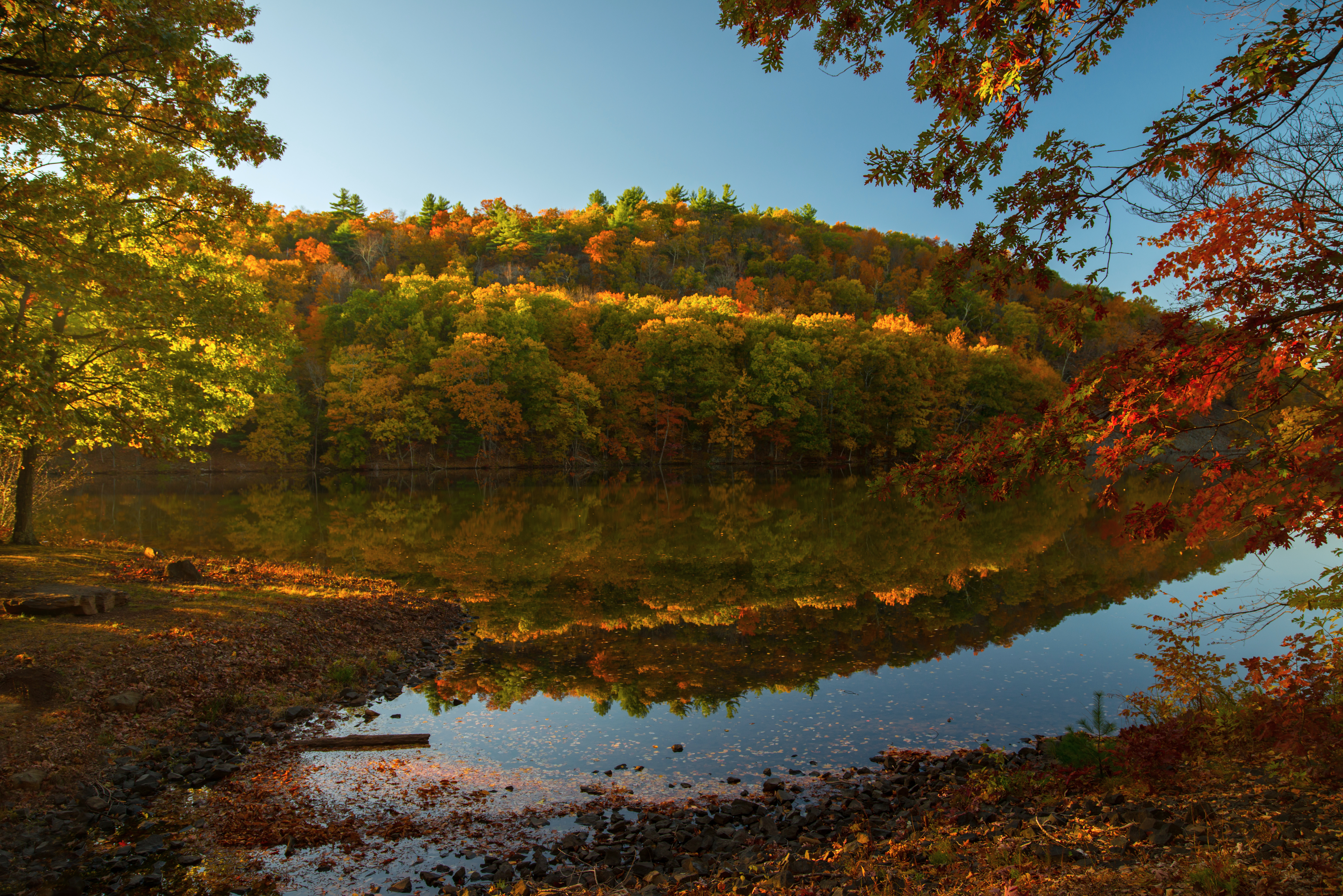 Fall in Connecticut