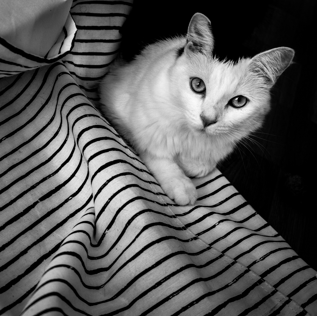 b and w