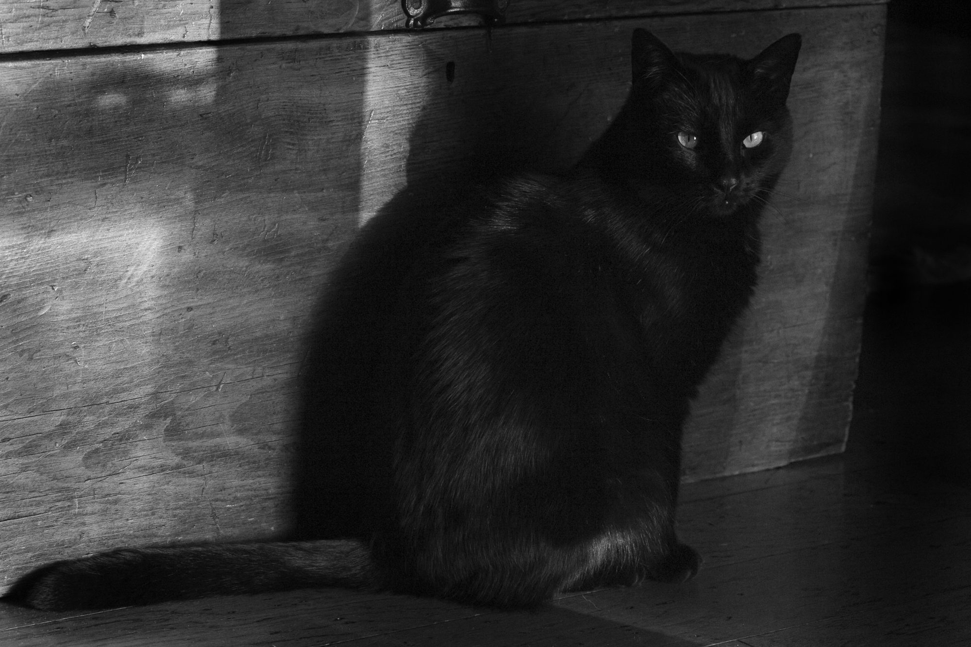 Binx