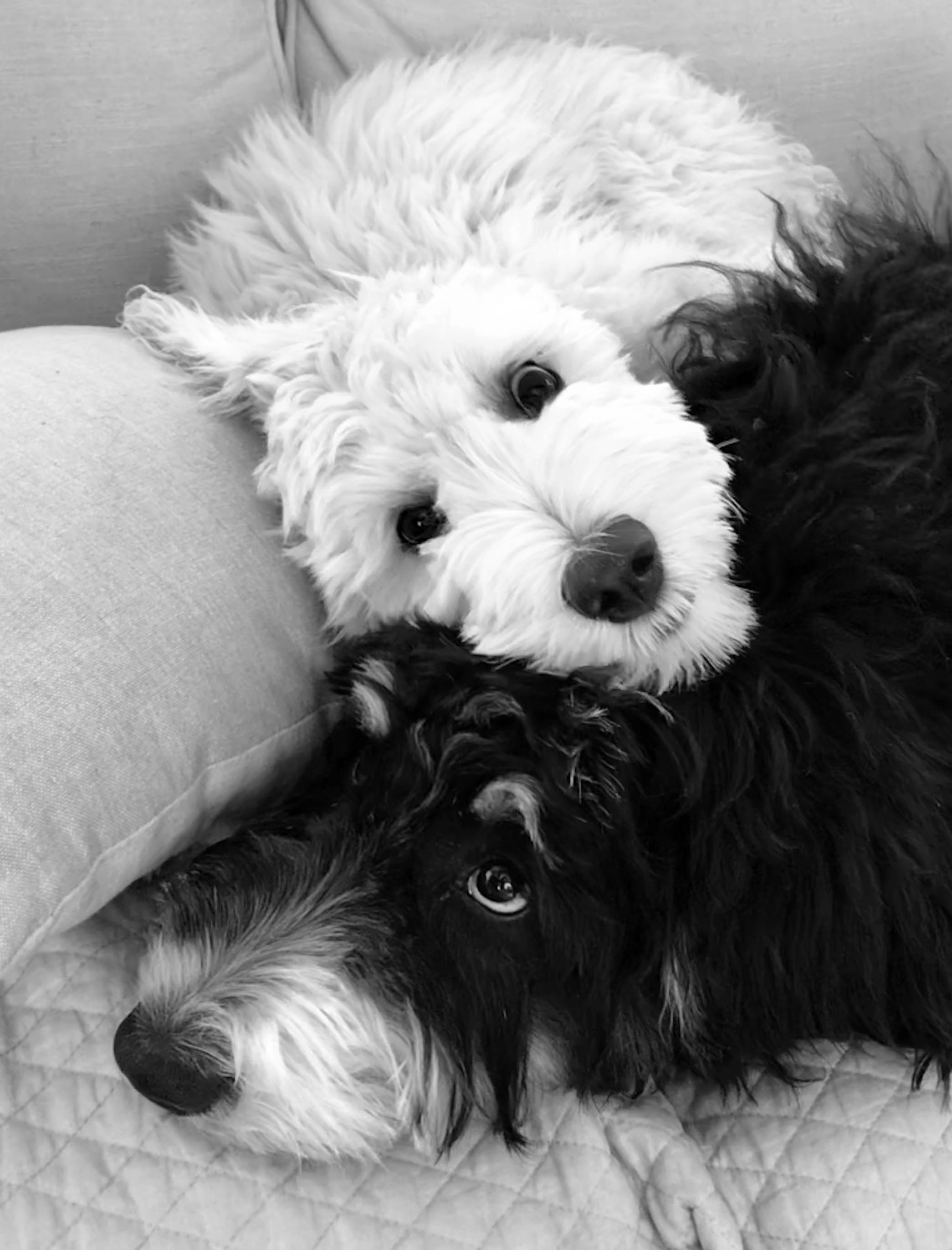 black and white