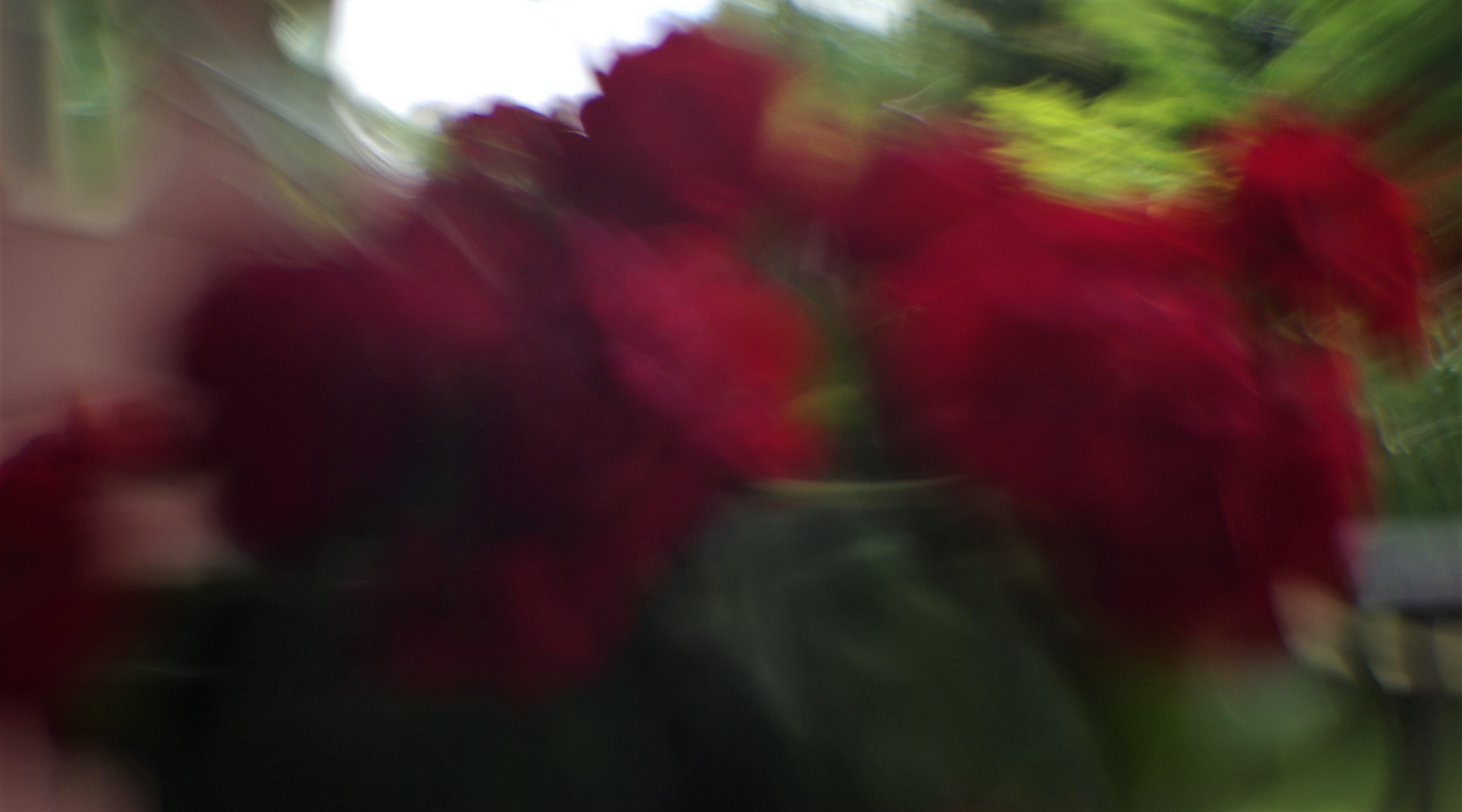 Looking through the bottom of a glass tumbler